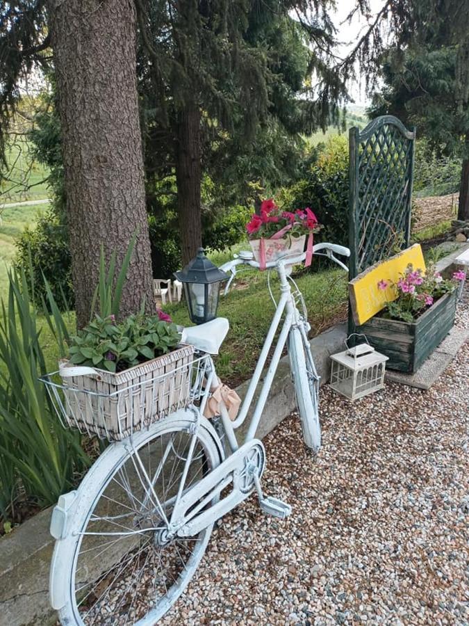 Bb Lady Bed and Breakfast Castelvetro di Modena Exteriör bild