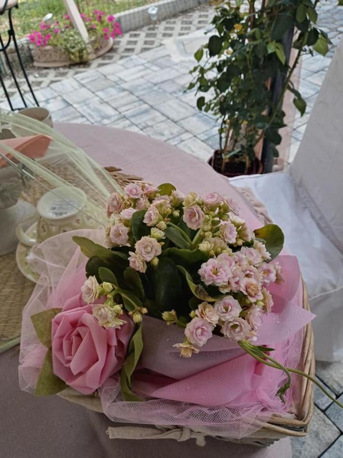 Bb Lady Bed and Breakfast Castelvetro di Modena Exteriör bild